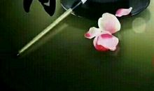 花事未了，断人肠_900字