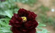 轻松迈进诗歌的殿堂