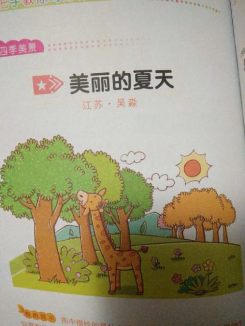 我喜欢美丽的夏天_350字