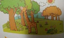 我喜欢美丽的夏天_350字