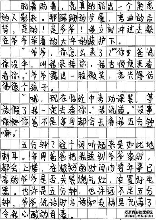 我喜欢夏天（小测试完整分数）_550字