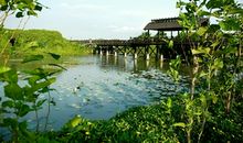 海上田园玩乐多_500字