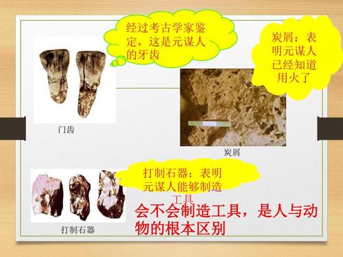 张春，喜欢：用生活照亮人类历史_2000字
