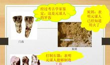 张纯如：用生命照亮人类的历史_2000字