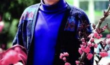 出入之间尽显风流_900字