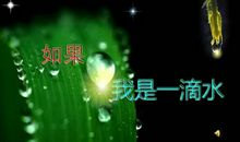 假如我是一滴水_400字