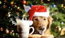 爱会悄然离开_800字