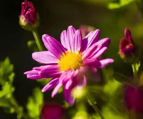 普通的美丽时刻_800字