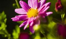 平凡中的美丽瞬间_800字