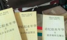 追忆似水年华_750字