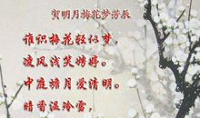 明月梅花一梦_600字