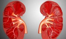 生命的坚守_800字