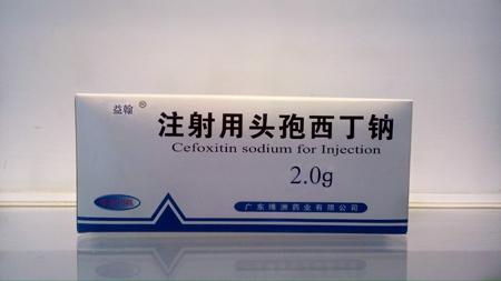 针_450字