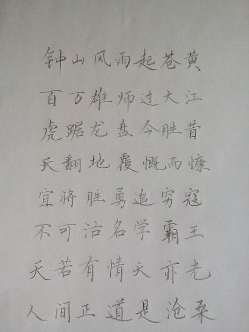 我的笔_250字