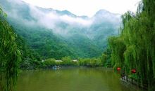 呼唤大自然_650字