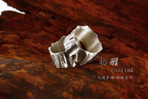 如梦想，第一次唤醒_400字