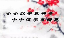 我家的“智能天才”_300字