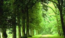 在那个阳光明媚的中午_700字