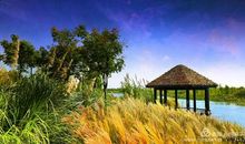 难忘那一缕芳香_700字