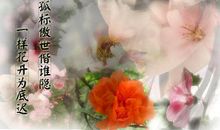 一曲葬花泪又有谁知_650字