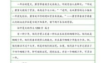 关于夏天的作文：多彩的夏天_800字