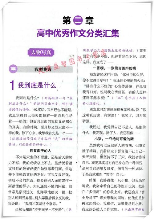 高中论文：国王的老师，准备去_800字