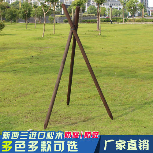 树_800字