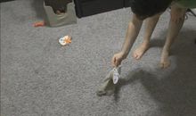 第十九章-伊阿宋的结局