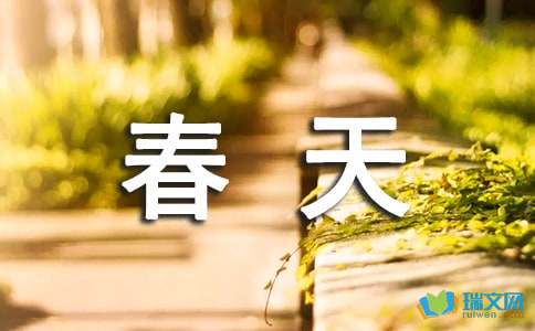 喂鸽子_300字