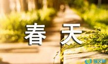 喂鸽子_300字