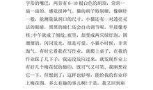 关于宽容的作文：爱的宽容_600字