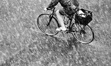 小楼一夜听春雨_900字