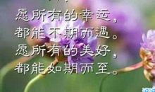 昨夜雨季如期而至_750字