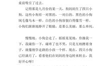 关于宽容的作文：他有一颗知错能改的心_300字