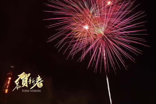 观看烟花_450字