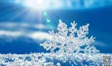 美丽的相遇_750字