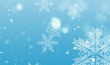 夏天哪去了_350字