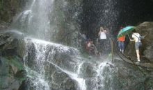 美丽的“花果山”_450字