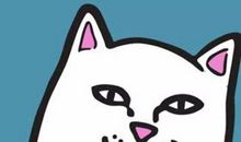 I am what I am_350字