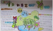 关于夏天的作文：多彩的夏天_300字