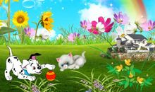 多彩的夏天_450字