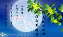 中秋节诗词：彩云追月/中秋_150字