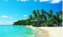 多彩的夏天_500字