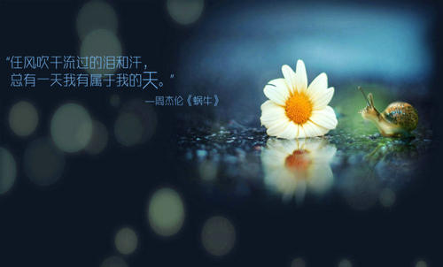 风吹，撕裂_900字