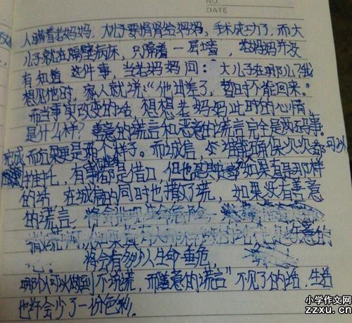 构图谎言：诚信谎言_600字
