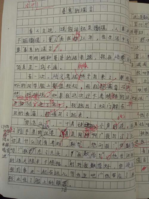 构成谎言：诚信_550字
