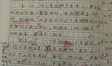 关于谎言的作文：善意的谎言_550字