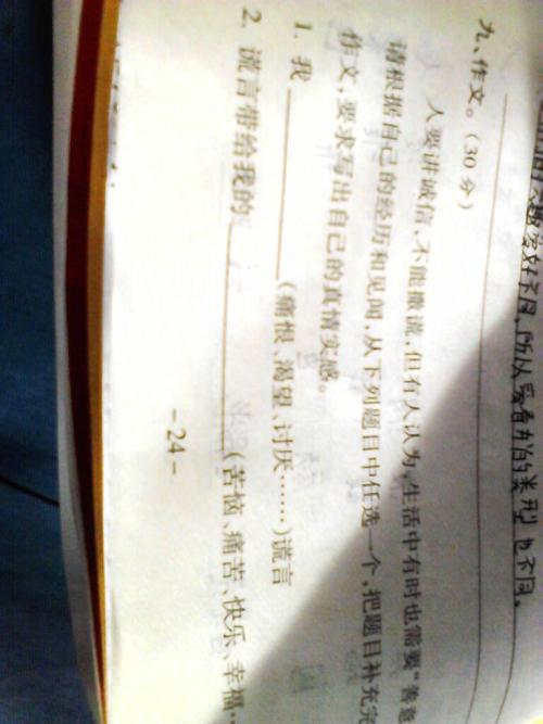谎言上的组成：谎言_650字