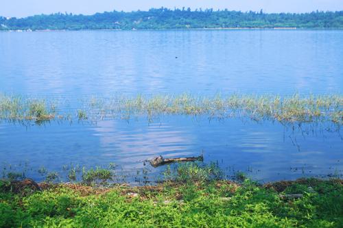 忘记漂亮_1200字