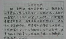 军训心得200字_350字